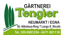 goenner_tengler
